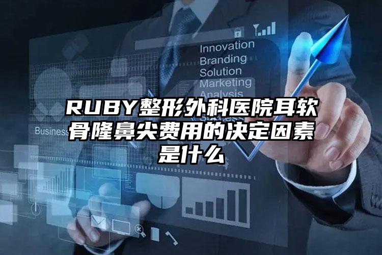 RUBY整形外科医院耳软骨隆鼻尖费用的决定因素是什么