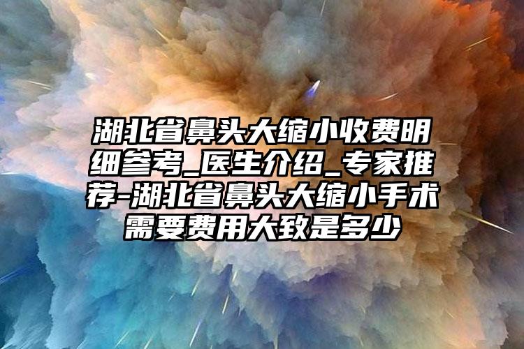 湖北省鼻头大缩小收费明细参考_医生介绍_专家推荐-湖北省鼻头大缩小手术需要费用大致是多少