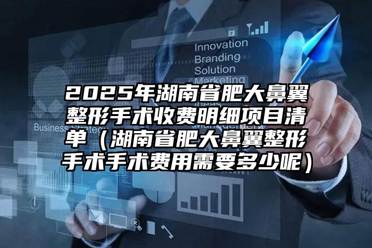 2025年湖南省肥大鼻翼整形手术收费明细项目清单（湖南省肥大鼻翼整形手术手术费用需要多少呢）